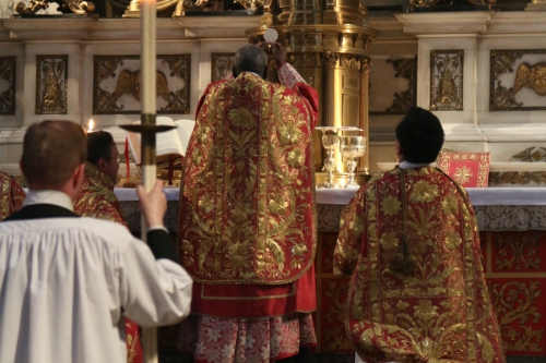 messe cardinal sarah.jpg