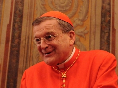 cardinal-raymond-burke.jpg