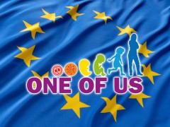 One-of-Us-EU-Flag1.jpg