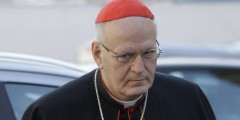 1846542_3_afbf_le-cardinal-peter-erdo-le-4-mars-au-vatican_713cdd6078b7308bcb9e7b2396a0c860.jpg