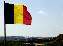 1292860023Drapeau belge.jpg