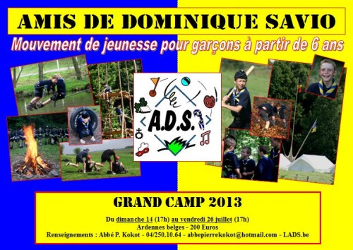 Affiche A.D.S. 2013.JPG