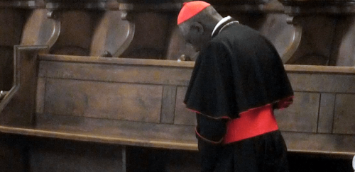 cardinal humilié.png